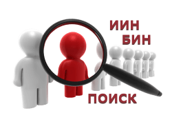 Поиск организации (ИП) по ИИН (БИН) в Казахстане